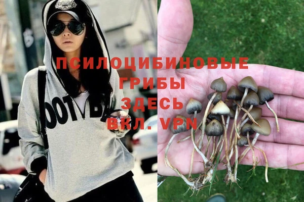 spice Осинники