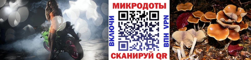 ссылка на мегу маркетплейс Ясногорск Псилоцибиновые грибы прущие грибы купить сайты