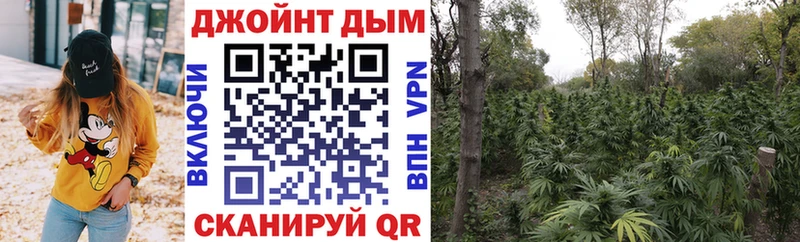 что такое   Ясногорск  ОМГ ОМГ ССЫЛКА  Каннабис OG Kush 